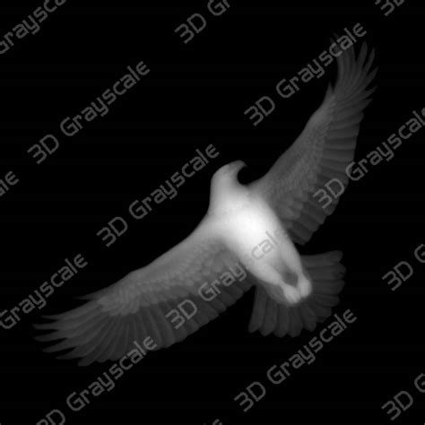 Bald Eagle Height Map 3d Grayscale