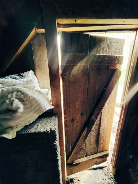 Hot Sexy Alisha Bikini Pics