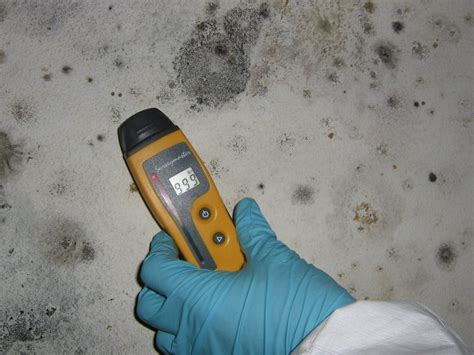 Mold Testing Kit Know Which Is The Best For You And Your Home