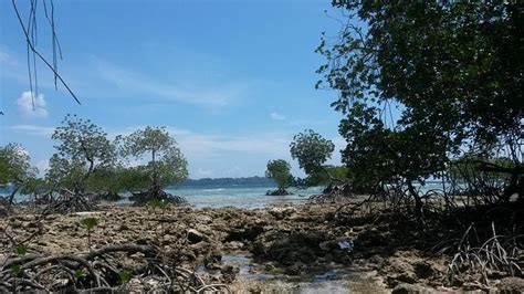 deep sea resort updated  prices specialty resort reviews port
