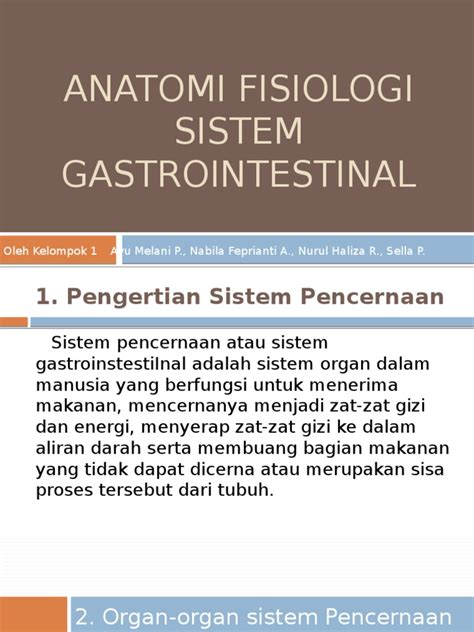 Anatomi Fisiologi Sistem Gastrointestinal Pdf