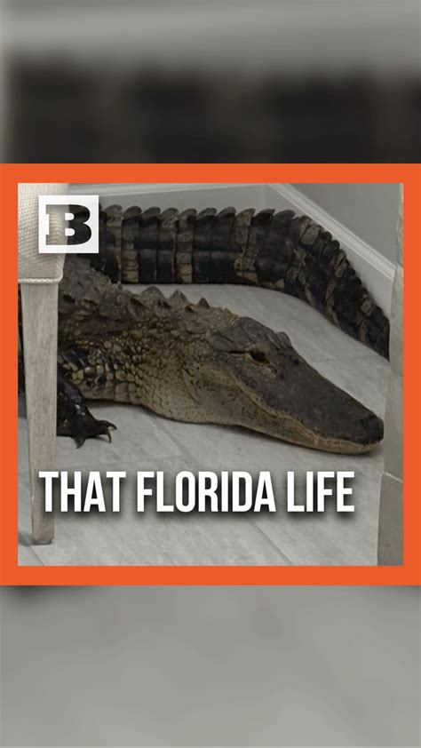 LIVE: Heads of NPR & PBS Testify Before Congress... | LIVE: Heads of