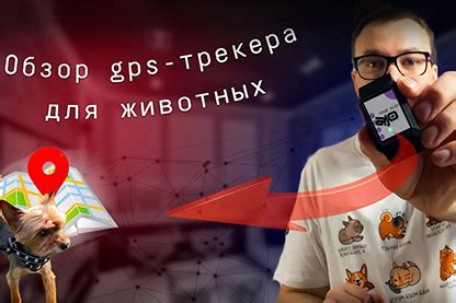 Умный обзор: GPS-трекер - видеообзор от AJO