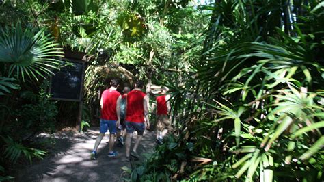 Gay Days At Walt Disney World Mickey News