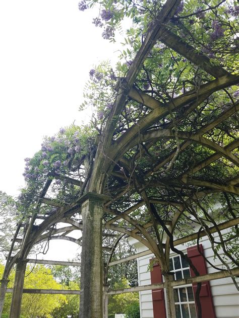 North Carolina Trip Recap