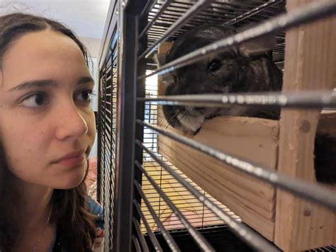 Pov, you're reconsidering your relationship with all of the pets in