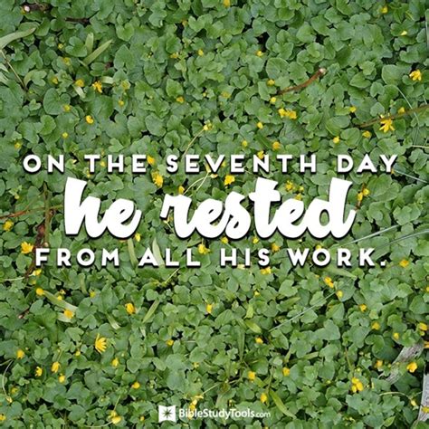 daily verse genesis   daily verse ibelievecom