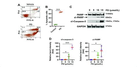 Platycodin D Induces Apoptosis In Lung Cancer Cells A H1299 Cells