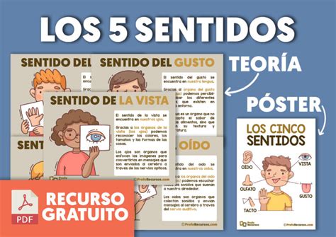 Los 5 Sentidos Para Niños Teoría Actividades