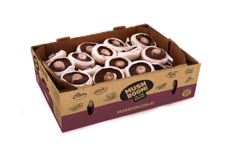 Flat White Mushrooms Grown in Australia | MushBoom