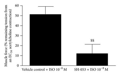 Sh 053 2′f R Ch3 2 Mediated Activation Of α5 Subunit Containing Gabaa