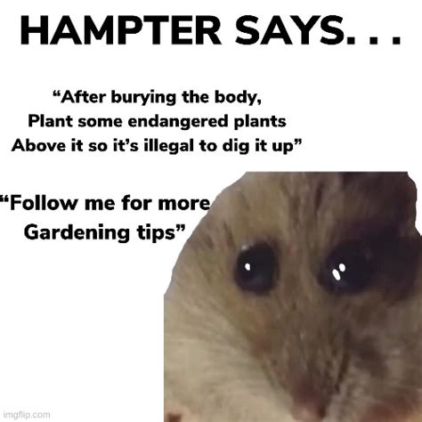 Gardens Memes And S Imgflip