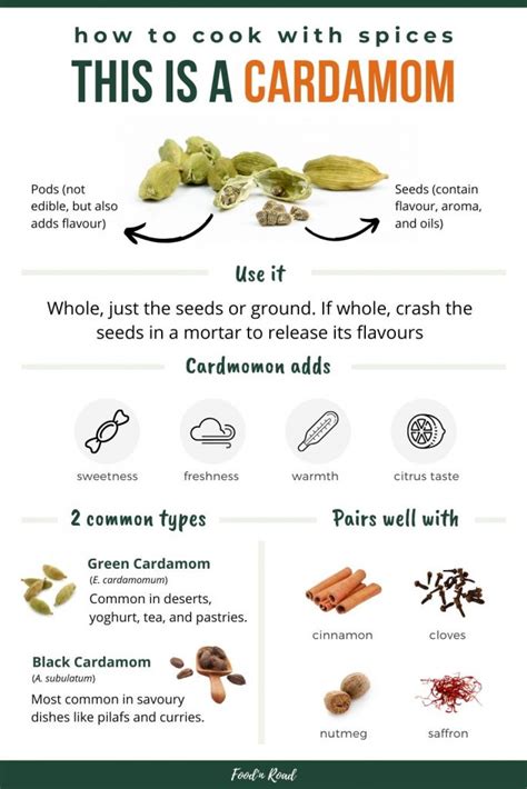 The Cardamom Spice And How To Cook With It Spice Guide