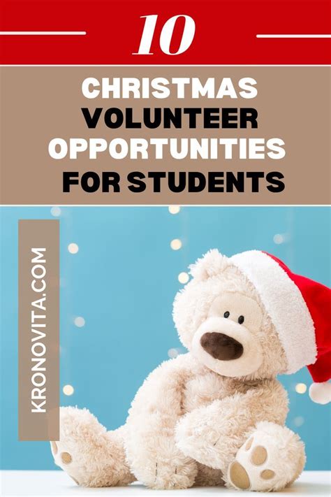 10 best christmas volunteer opportunities for students – Artofit