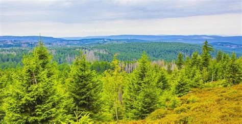 Harz Mountains Stock Photos, Images and Backgrounds for Free Download