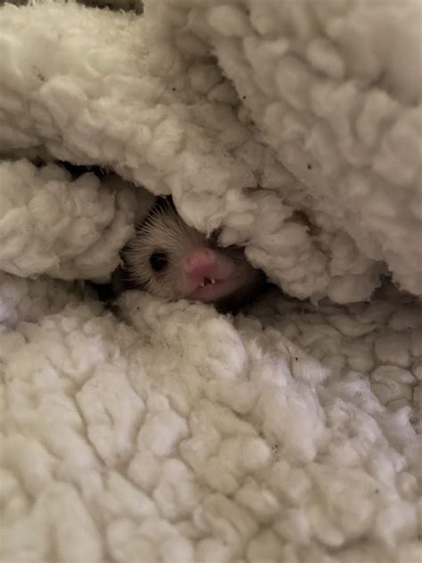 When your prescription costs more than all of mom’s combined but you’re