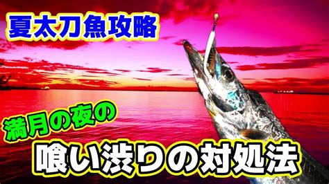 【太刀魚】夏太刀魚攻略満月の夜の喰い渋り対処法 Youtube