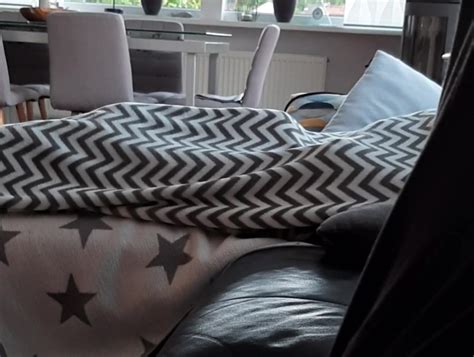 Masturbate Under The Covers Free Naughty Cubs Hd Porn Xhamster