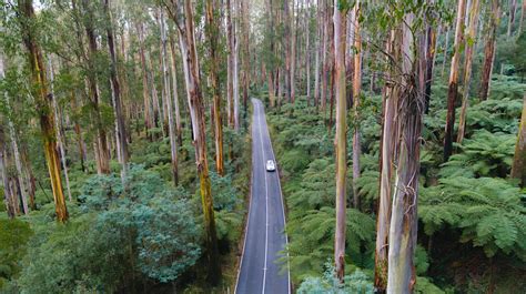 itineraries visit yarra valley dandenong ranges