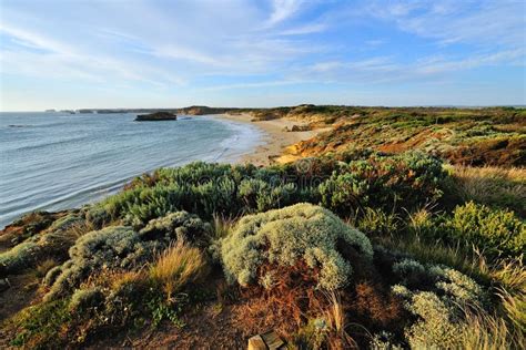 Great Ocean Road - Scenic Drive Route Stock Photo - Image of iconic ...