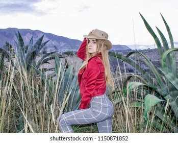 158 Savannah Blonde Images Stock Photos Vectors Shutterstock