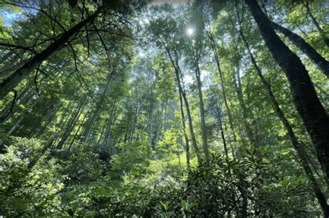 beautiful scenic roads  west virginia