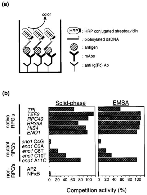 A Principle Of The Solid Phase Dna Binding Assay For Screening Of Download Scientific Diagram