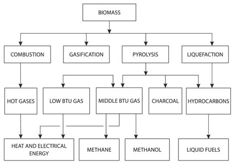 Industrial Technologies Of Thermochemical Conversion Of Biomass Download Scientific Diagram