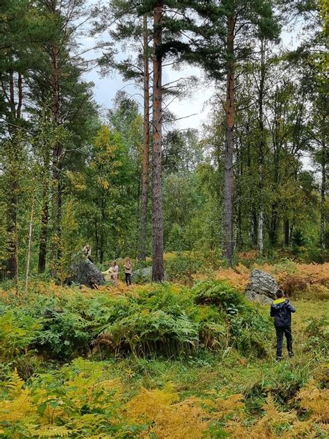 Skolbanken Utflykt Till Skogen L Nnbergskolans Fritidshem