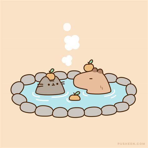 Capybara Hot Spring Pusheen Cute Pusheen Cat Cute Doodles