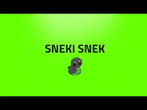 Razer Sneki Snek Giving Cuddles Aiding Conservation Hilmar Hahn