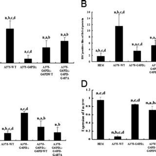Tumor Formation And Growth Of Tumor Cells In Nude Mice After Normal