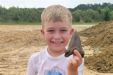 8 Year Old Finds Million Year Old Prehistoric Megashark Tooth Trendradars