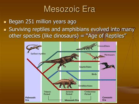 Mesozoic Era