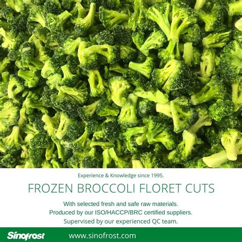 IQF Broccoli Cuts Frozen Broccoli Cuts Low Prices Grade B IQF