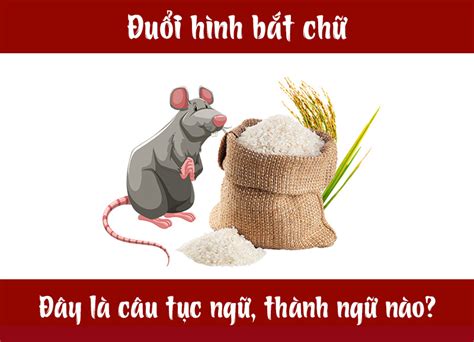 cau tuc ngu thanh ngu kho nhan nay la gi p tuoi tre