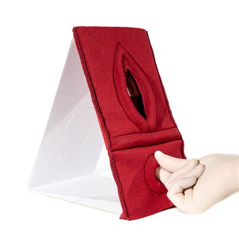 Set Of Palpation Of Superficial Perineal Muscles Nd Degree Trauma And Anal Sphincter Defect