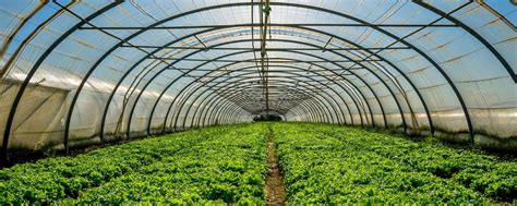 "GREENHOUSE.24" Теплицы Ужур | Прочные и надежные теплицы из ...