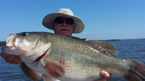 Kerr Lake Guide Bags Huge Jordan Lake Bass Carolina Sportsman