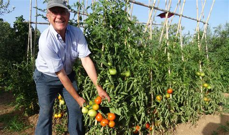 Recogida De Envases De Fertilizantes Y Fitosanitarios El Huerto Urbano