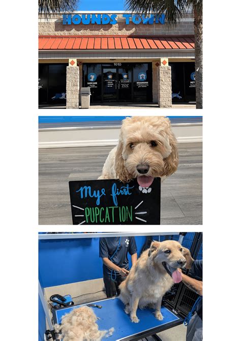 Dog Daycare & Boarding in Bradenton, FL | Hounds Town