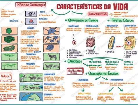 Considere As Seguintes Caracteristicas Atribuidas Aos Seres Vivos