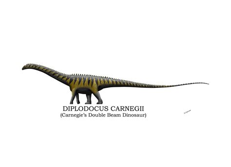 Diplodocus Carnegii Profile By Hamish1512201 On Deviantart