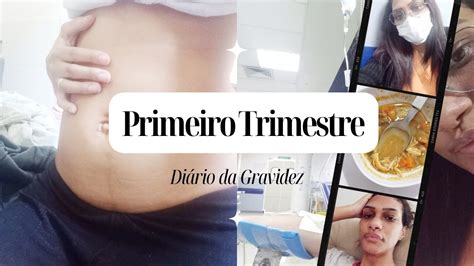 DIÁRIO DA GRAVIDEZ Primeiro Trimestre sintomas e mais gravidez