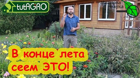 ИМЕННО ЭТО СЕЕМ В КОНЦЕ ЛЕТА! Не высевайте сидераты! Сперва узнайте эту ...