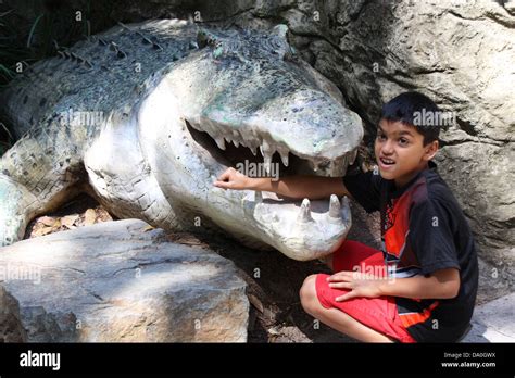 Crocodile Eating Hi Res Stock Photography And Images Alamy