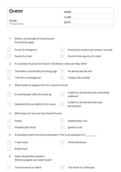 50 Fossils Worksheets For 12th Class On Quizizz Free And Printable