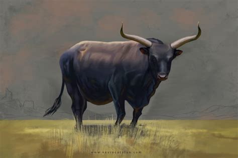 Aurochs A Wiki Of Ice And Fire