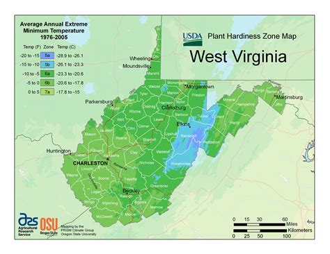 When to Plant in Martinsburg, WV
