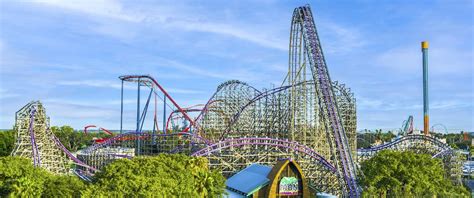Visitors Guide To Busch Gardens Tampa Bay